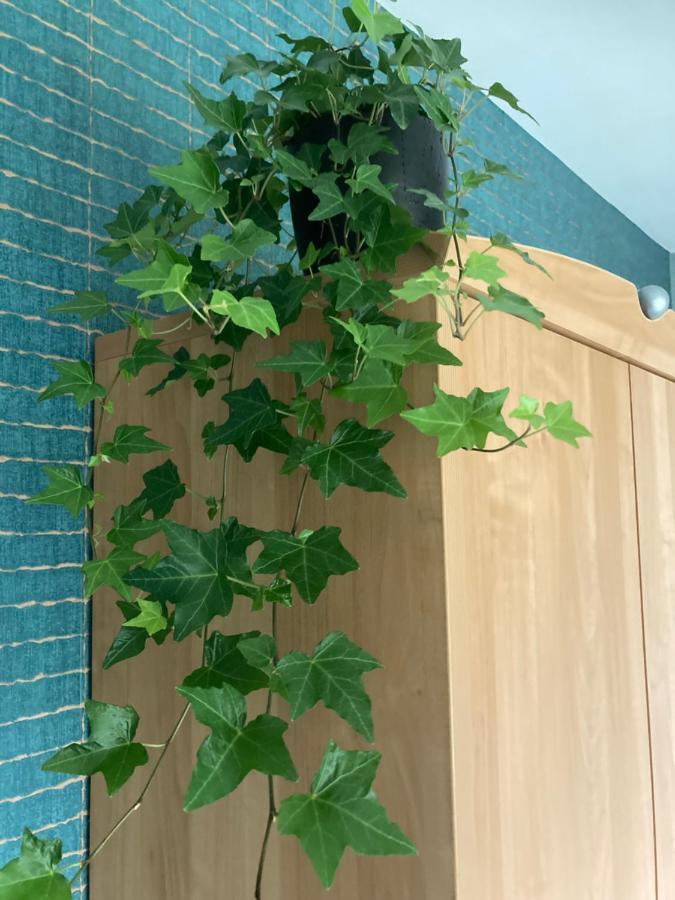 Crea Els Apartment Вестерло Екстериор снимка